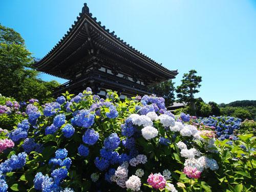 Aloha Inn Aine (Adults Only) Fukuchiyama Zewnętrze zdjęcie